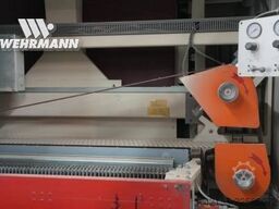 HEESEMANN, BüRKLE 
