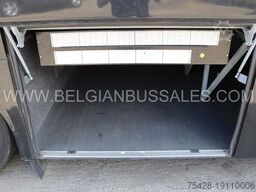 Van Hool TX16 ALICRON