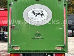 MERCEDES-BENZ Vario 816D 4x2 Finkl-1-Stock