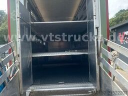  Stehmann AZV-18 3.Stock Viehanhänger,Hubdach