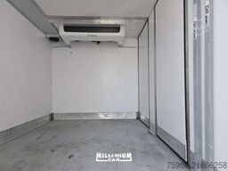 MAN MAN TGE 2021 CELLA 3,60 C.AUTOM