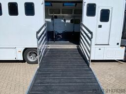MERCEDES-BENZ ACTROS 1832  TT-XL  7 Pferde 6 Sitze Neufahrzeug