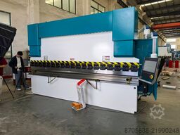 Nanjing Asia Machine Mfg. Co., Ltd. WE67K-110/3200 press brake