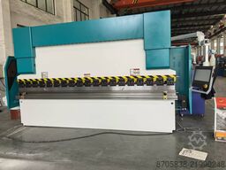 Nanjing Asia Machine Mfg. Co., Ltd. WE67K-110/3200 press brake