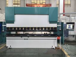 Nanjing Asia Machine Mfg. Co., Ltd. WE67K-110/3200 press brake