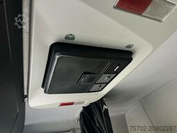 MAN TGX 26400 Roelofsen 12 Pferde