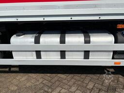 Renault Premium + DHOLLANDIA LOADLIFT + SMART TACHO + E...