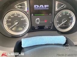 DAF LF 210 FA*LBW*540tkm*Radlager Schaden