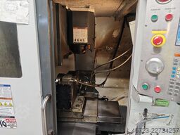 HAAS DT1