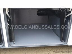 Iveco Evadys 13m / WC / 3-Point seat belts / NEW!!