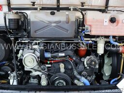 Iveco Evadys 13m / WC / 3-Point seat belts / NEW!!