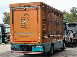 SCANIA S500 4x2 LL 3.Stock Finkl Viehwagen *unfall*
