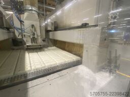 Hamuel Reichenbacher Vision 2