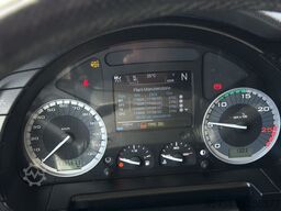 IVECO S WAY 530