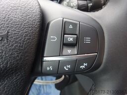 FORD Transit 350L3H2 TRAIL Kombi 4x4 AHK Stndhzg Navi