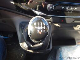 FORD Transit Koffer 350L4 Einzelk Trend Bi-Xenon LHZ