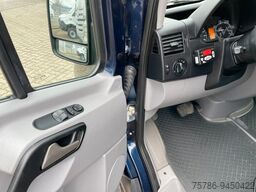 MERCEDES-BENZ Sprinter 313 CDI Frischdienst/Carrier /AC/Autom.