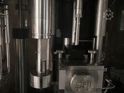 GAI 10006W-002