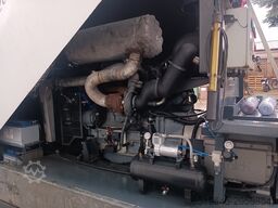 FALCH, HAMMELMANN,URACA, KAMAT T12