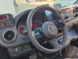 MERCEDES-BENZ 319 Sprinter VIP Shuttle 9 Sitzer Panoramadach