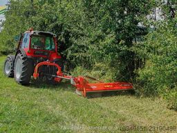 Kuhn TBES 19