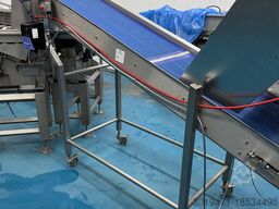 Lynnmore + Raytec Salad grading, washing, drying line