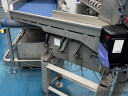 Lynnmore + Raytec Salad grading, washing, drying line