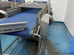 Lynnmore + Raytec Salad grading, washing, drying line