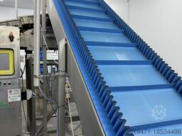 Lynnmore + Raytec Salad grading, washing, drying line