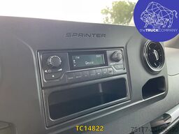 Mercedes-Benz Sprinter E-Sprinter L2H2