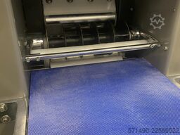 Gulliver IRIS 20