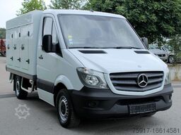 MERCEDES-BENZ 310cdi ColdCar -33°C, 3+3 Euro 5