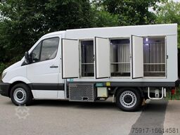 MERCEDES-BENZ 310cdi ColdCar -33°C, 3+3 Euro 5