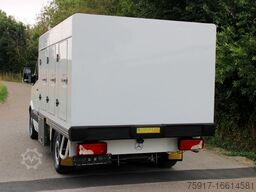 MERCEDES-BENZ 310cdi ColdCar -33°C, 3+3 Euro 5