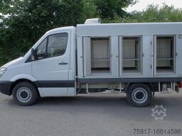 MERCEDES-BENZ Sprinter 310 ColdCar 3+3 Türen MultiTemp