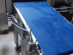 Fritsch FT 450-L
