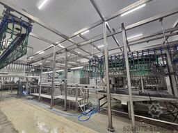 MEYN Evisceration Line