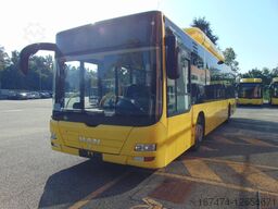 MAN A21