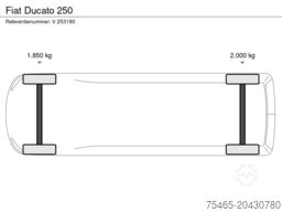 Fiat Ducato 250