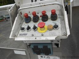 Teupen Leo 25 T plus