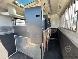  STX Trailer  3-4 Pferde Wohnung, Dusche