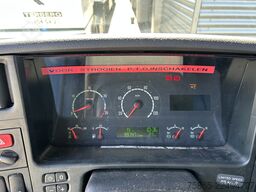 Scania P 230 Euro 3 / Nido Salt Spreader - Salz Streue...