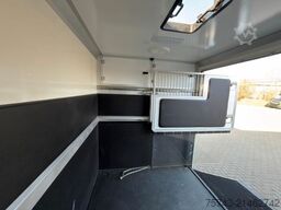 FORD Transit STX Haras  NEW MODELL. AUTOMATIK