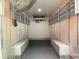 FIAT Ducato Tiefkühlkoffer *Carrier*Klima*motorschade