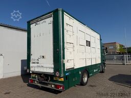 SCANIA 5