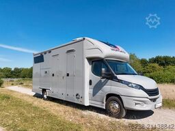 IVECO Pferdetransporter