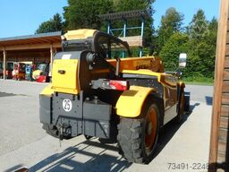 Dieci Zeus 38.10 mit Manitou SW