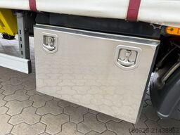  Wiese Mega Schiebeplane mit Dhollandia Rampe 9t