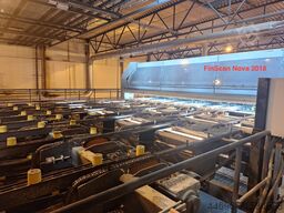 FINSCAN Boardmaster + Nova