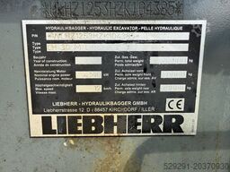 LIEBHERR LH30M
